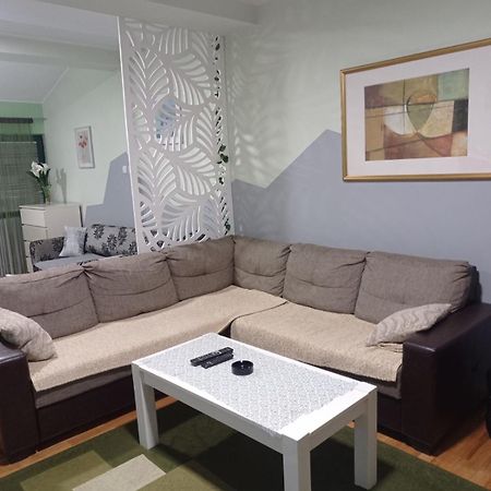 Apartment Vila Jezero Ζλάτιμπορ Εξωτερικό φωτογραφία